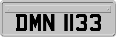 DMN1133