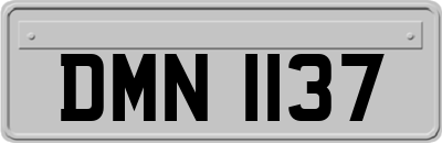 DMN1137