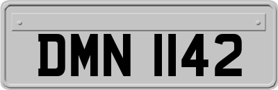 DMN1142