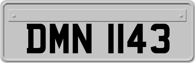 DMN1143