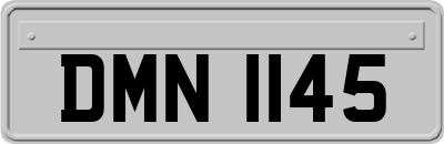 DMN1145