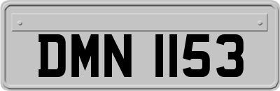 DMN1153