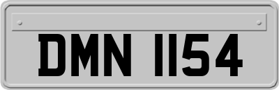 DMN1154