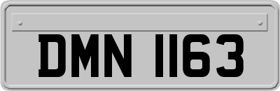 DMN1163