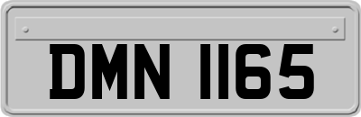 DMN1165