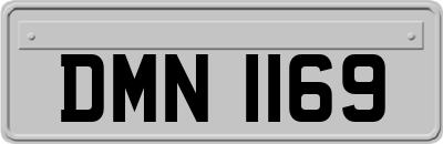 DMN1169