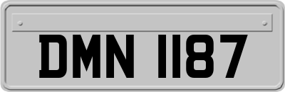 DMN1187