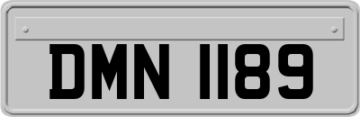 DMN1189