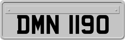 DMN1190