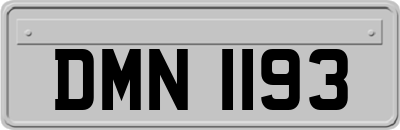 DMN1193