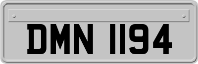 DMN1194