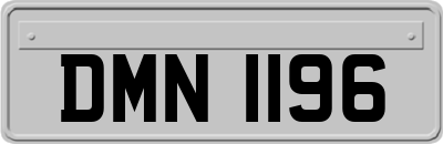 DMN1196