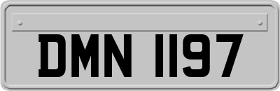 DMN1197