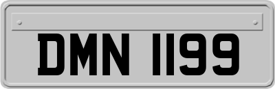 DMN1199