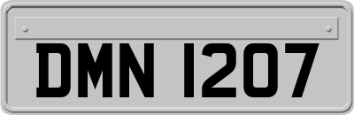 DMN1207