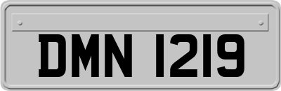 DMN1219