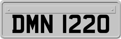 DMN1220