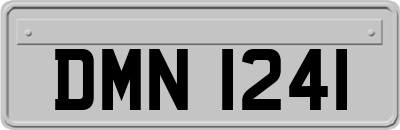 DMN1241