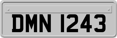 DMN1243