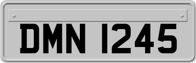 DMN1245