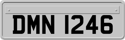 DMN1246