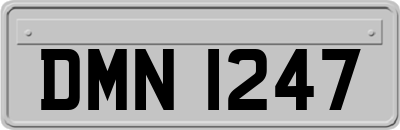 DMN1247
