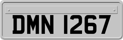 DMN1267
