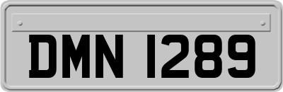 DMN1289