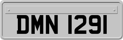 DMN1291