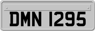 DMN1295