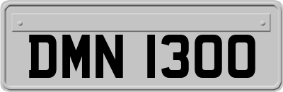 DMN1300
