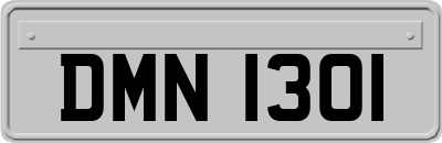 DMN1301