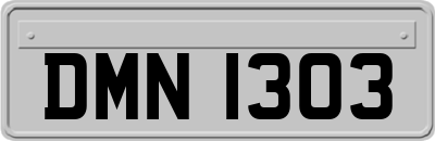 DMN1303