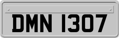DMN1307