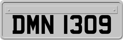 DMN1309