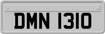 DMN1310