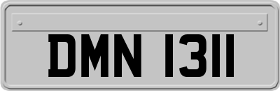 DMN1311