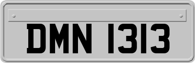 DMN1313
