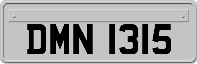 DMN1315