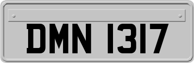 DMN1317