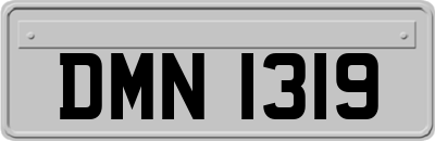 DMN1319
