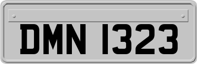DMN1323