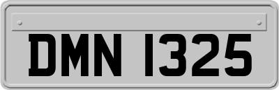 DMN1325