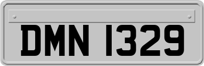 DMN1329