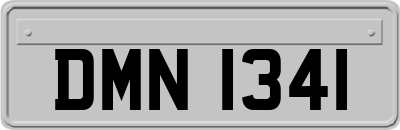 DMN1341