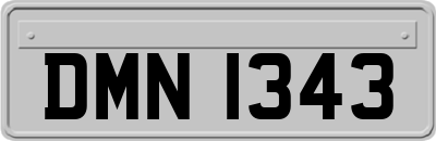 DMN1343