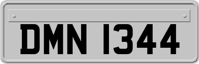 DMN1344