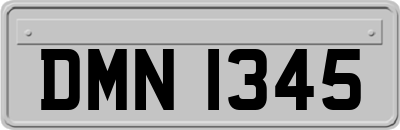 DMN1345