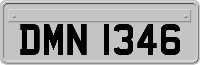 DMN1346