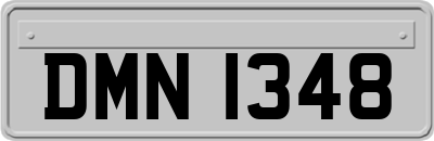 DMN1348